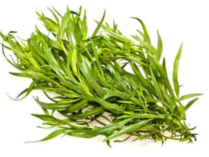 Estragon frais (20gr)