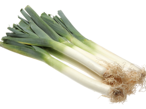 Poireau vert (500gr)