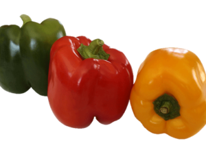 Poivron tricolor (1pce)