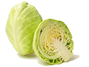Chou blanc (pce)