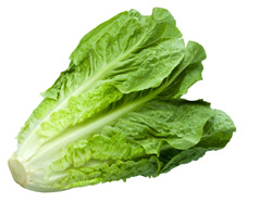 Laitue Romaine (Pce)