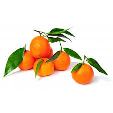 Clémentines (500 gr)