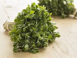 Marjolaine (20gr)