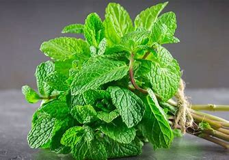Menthe (20gr)